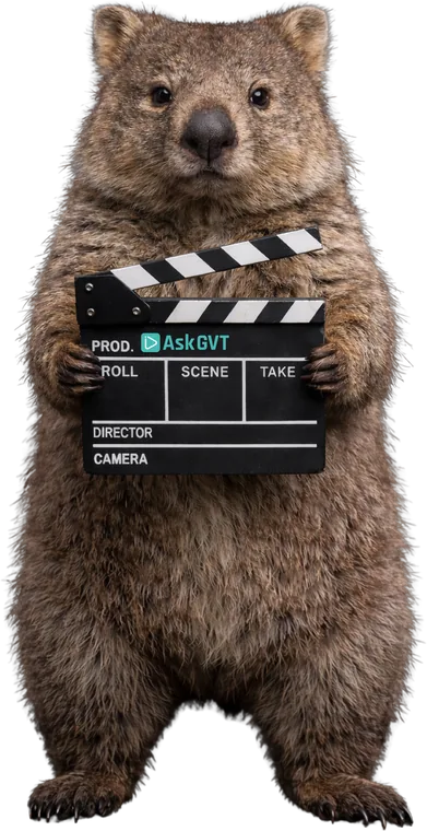 A wombat holding an AskGVT clapperboard